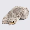 Bottinelli White & Blue Silk Paisley Tie