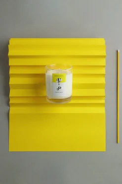 Bright Spice Pure Soy Candle 220g