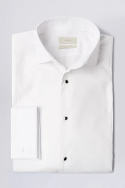 Regular Fit Marcella Bib Dress Shirt