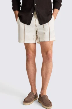 Taupe Wide Stripe Smart Swim Shorts