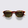 Tortoise Eagle Sunglasses